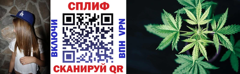 продажа наркотиков  darknet как зайти  Бошки Шишки MAZAR  Мытищи  мега как зайти 